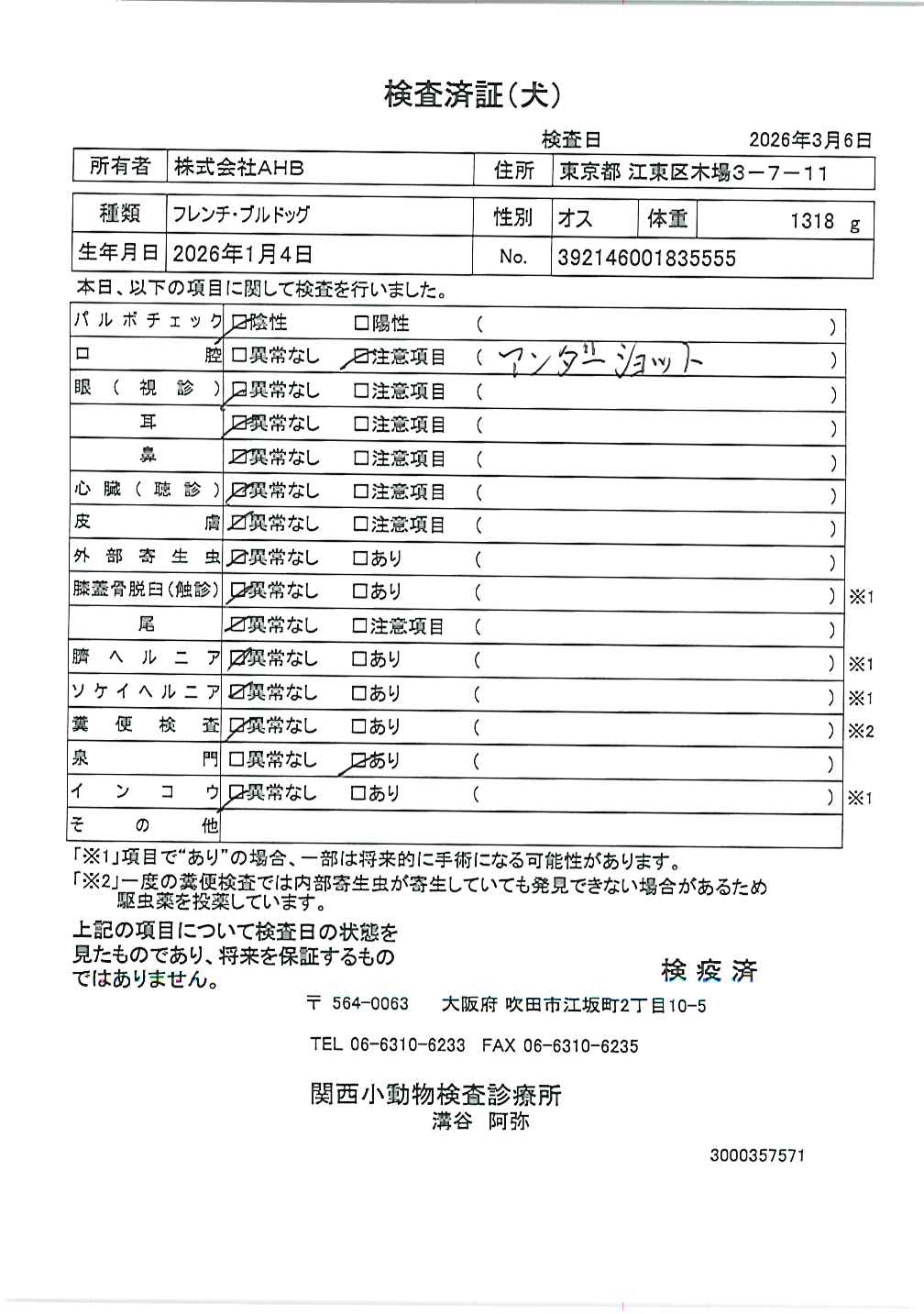 フレンチ・ブルドッグ