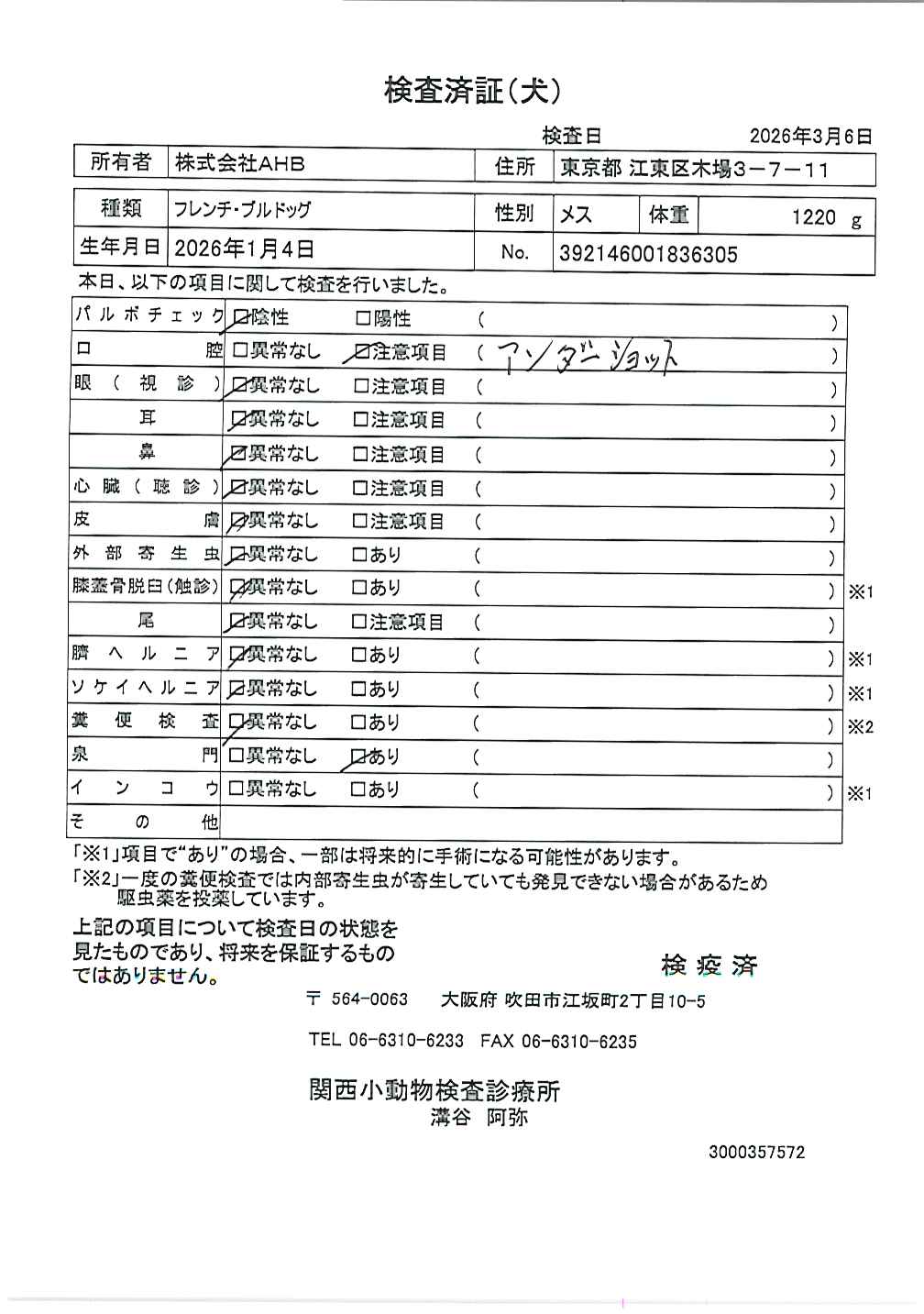 フレンチ・ブルドッグ