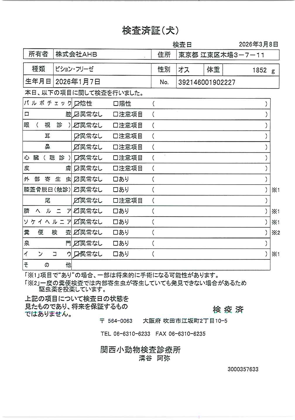 ビション・フリーゼ