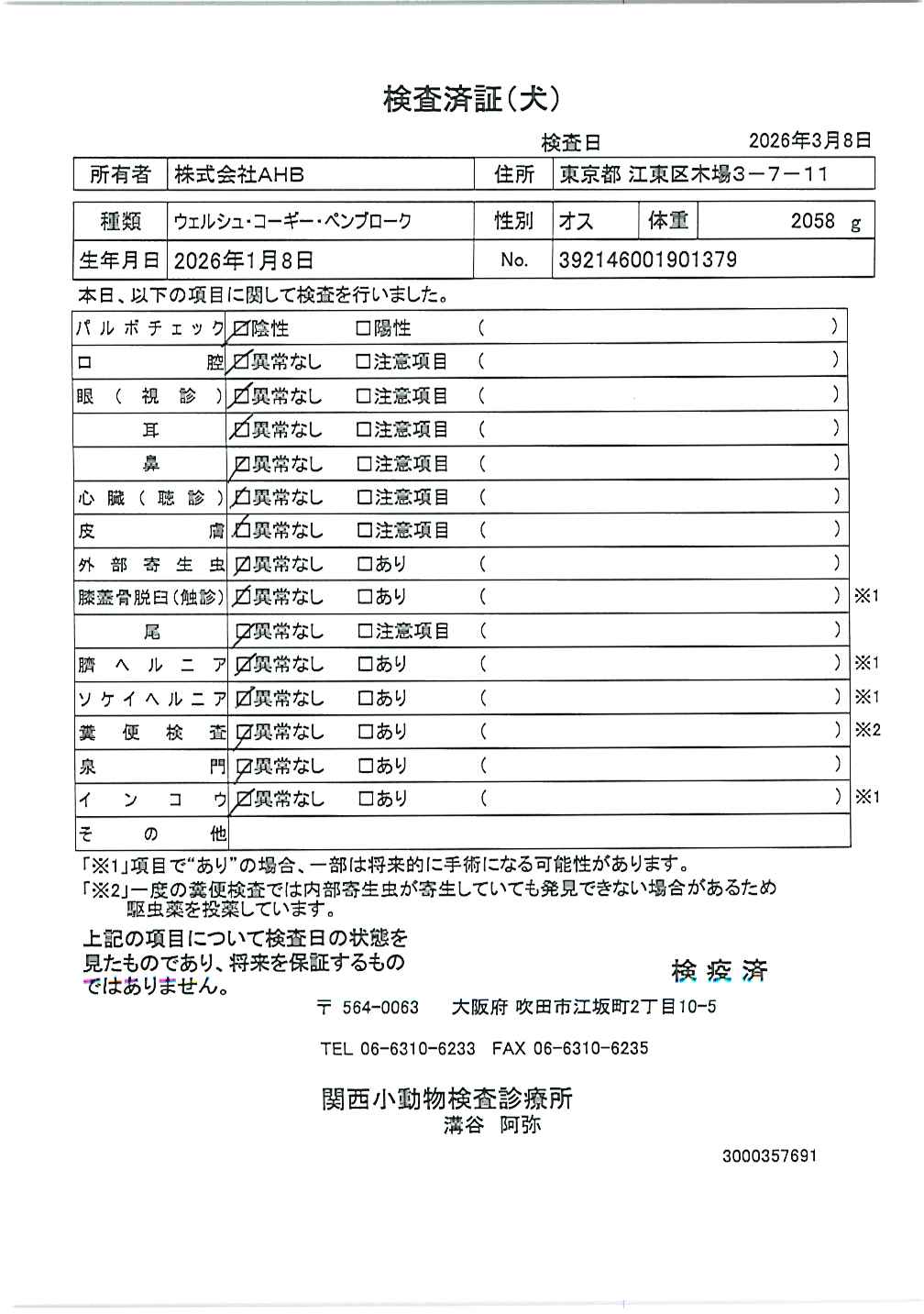 ウェルシュ・コーギー・ペンブローク