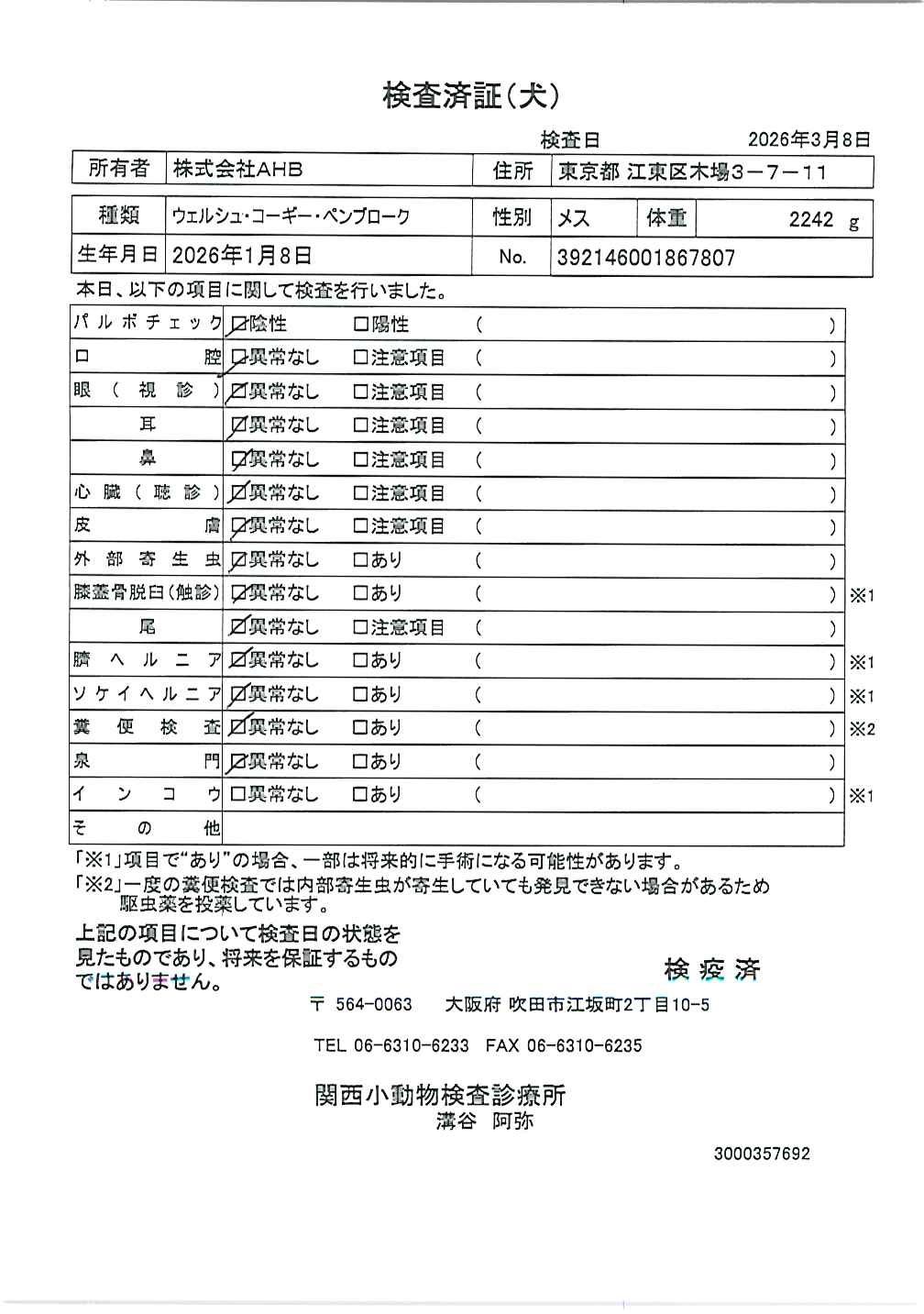 ウェルシュ・コーギー・ペンブローク