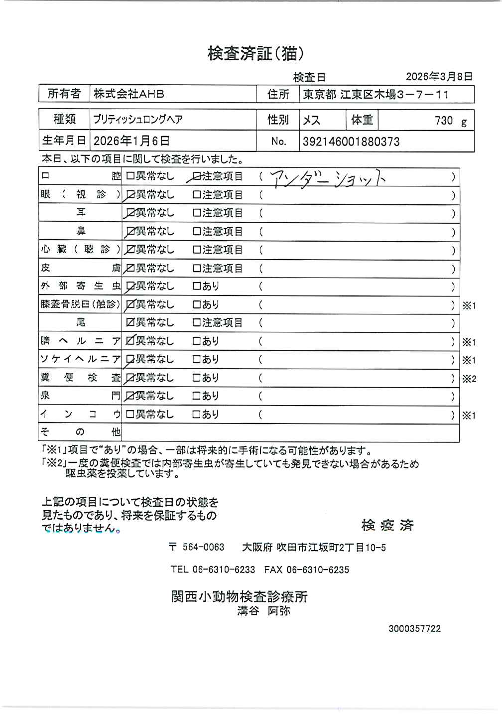 ブリティッシュロングヘア