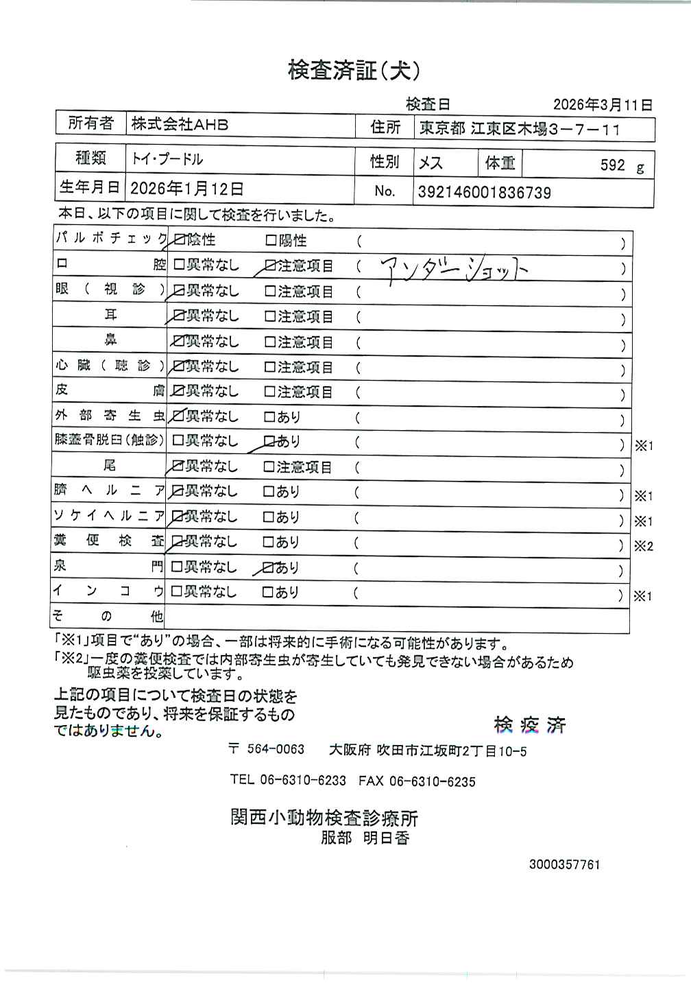 トイ・プードル