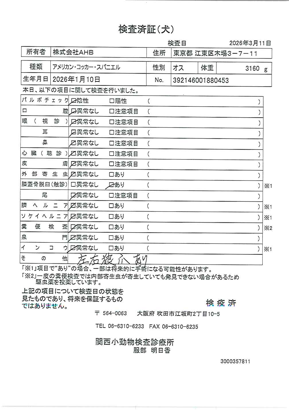 アメリカン・コッカー・スパニエル