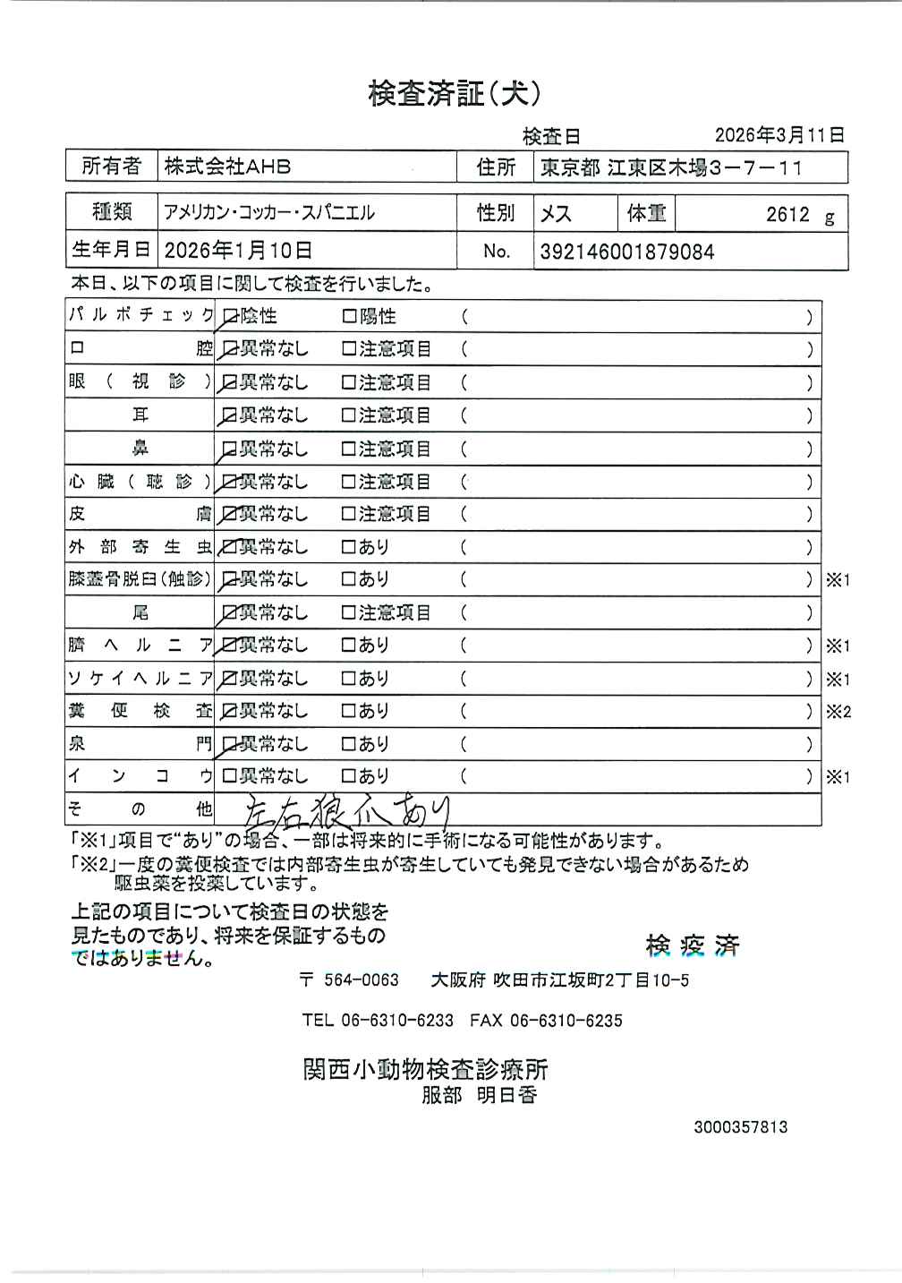 アメリカン・コッカー・スパニエル