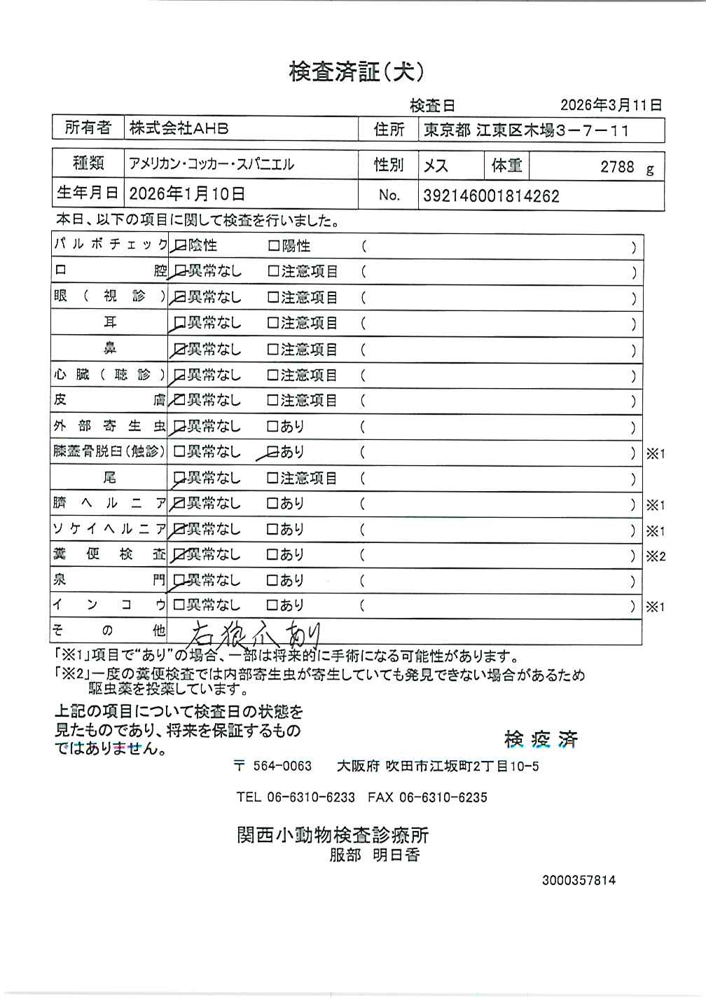 アメリカン・コッカー・スパニエル