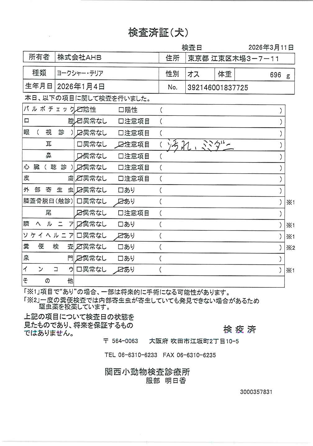 ヨークシャー・テリア