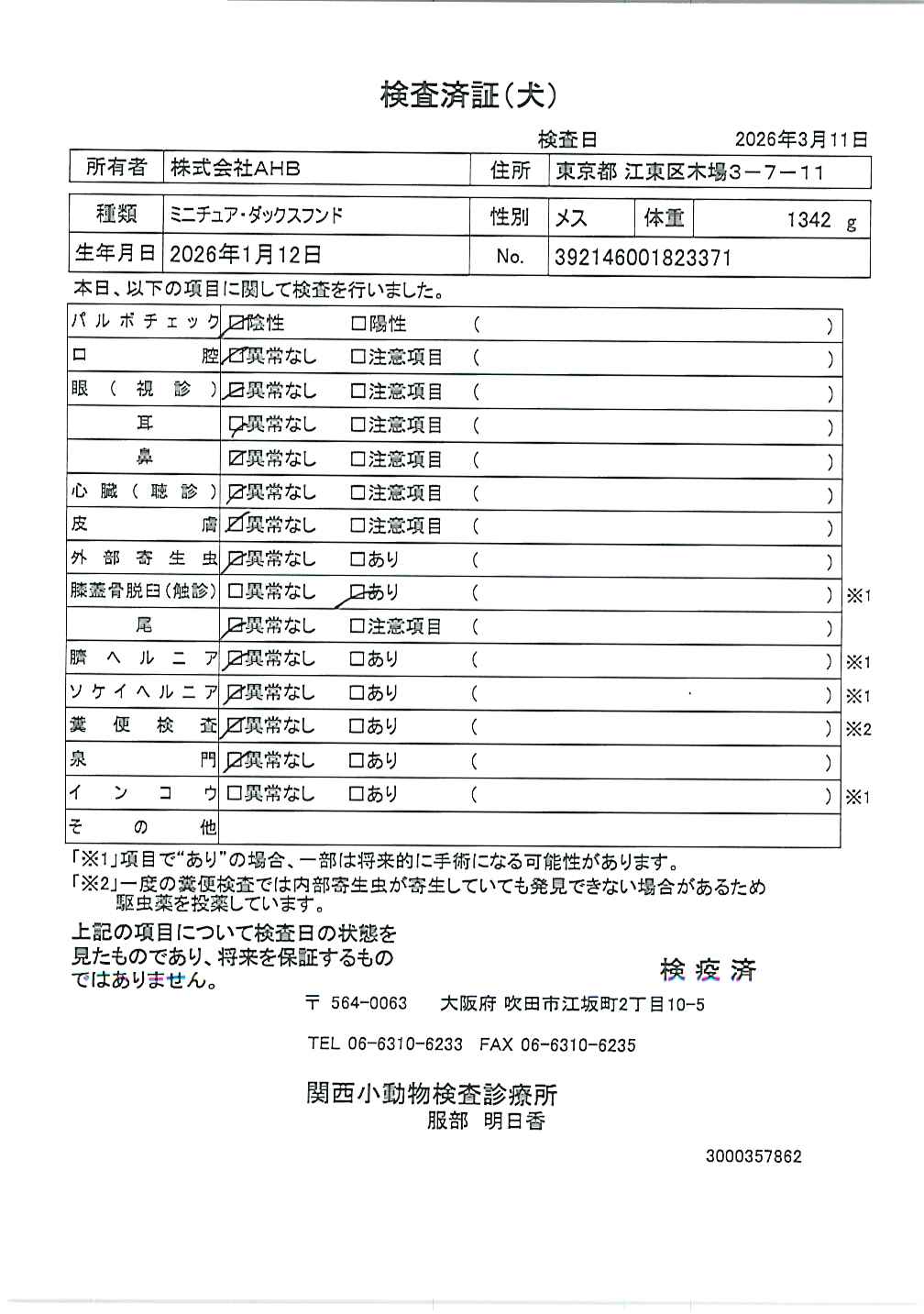 ミニチュア・ダックスフンド