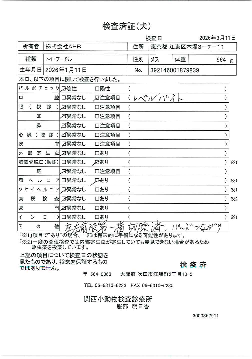 トイ・プードル