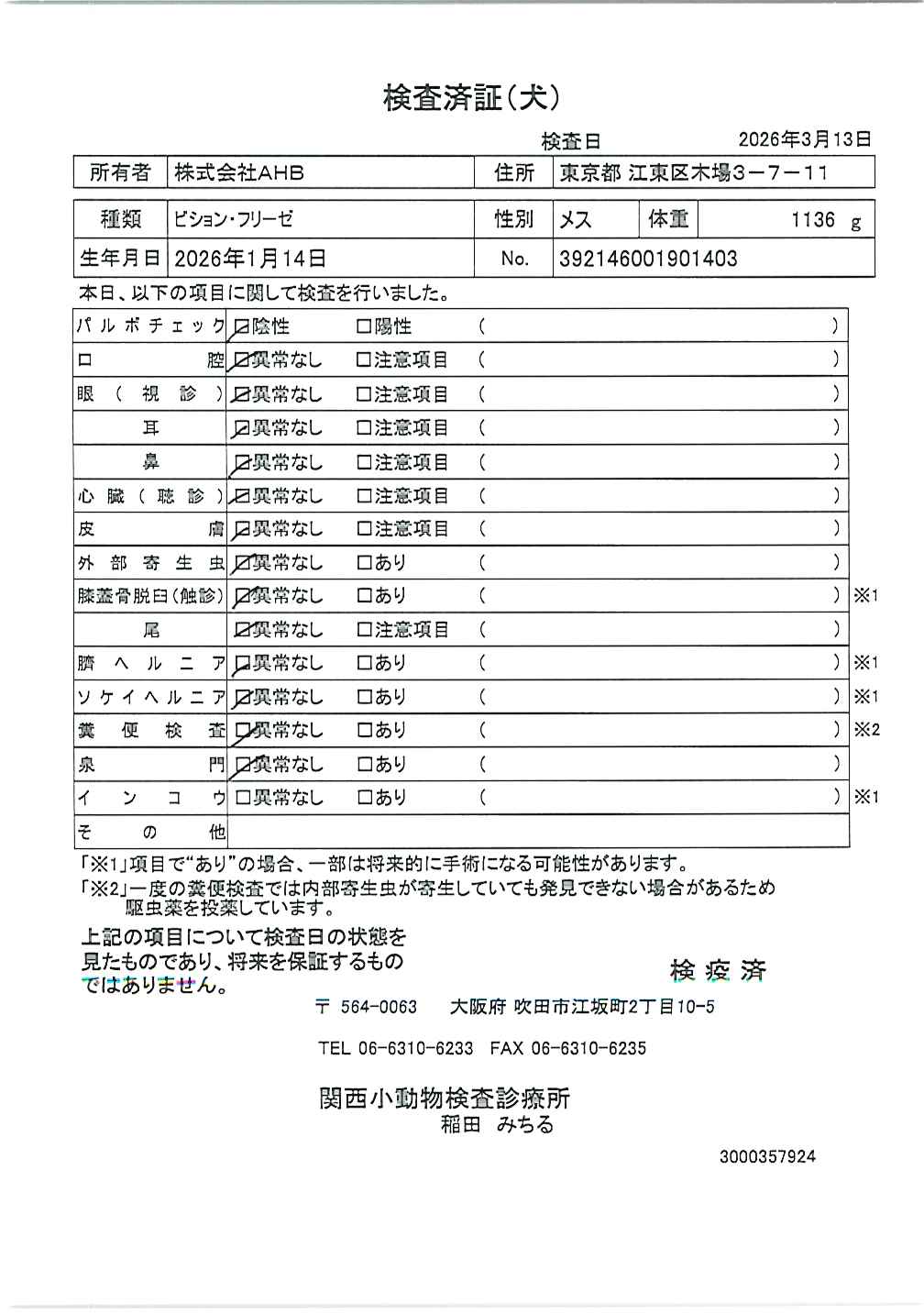 ビション・フリーゼ