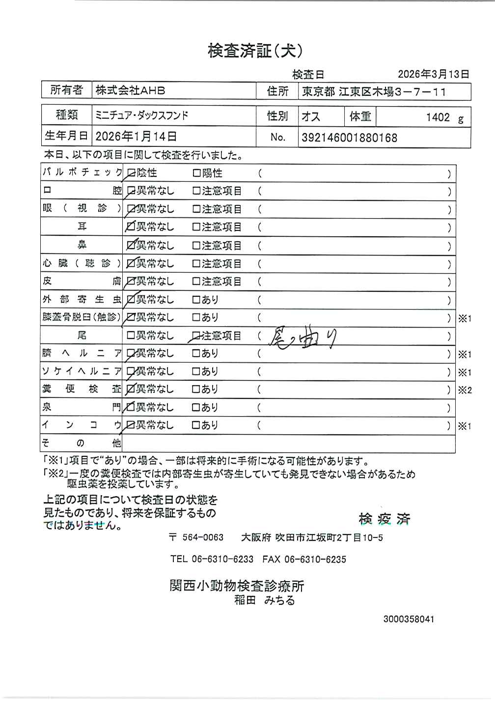 ミニチュア・ダックスフンド