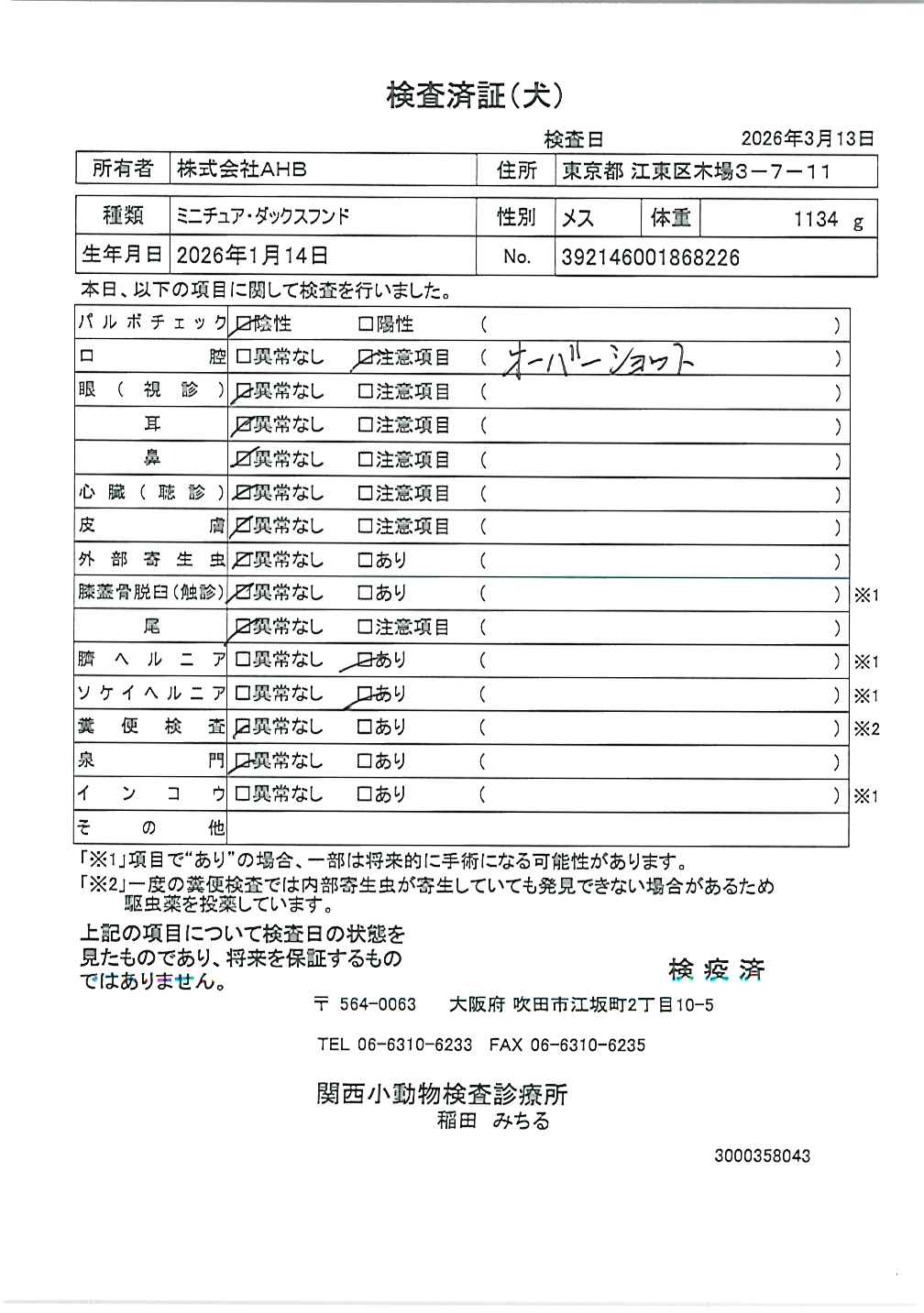 ミニチュア・ダックスフンド