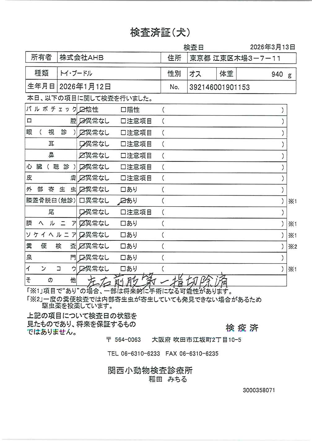 トイ・プードル