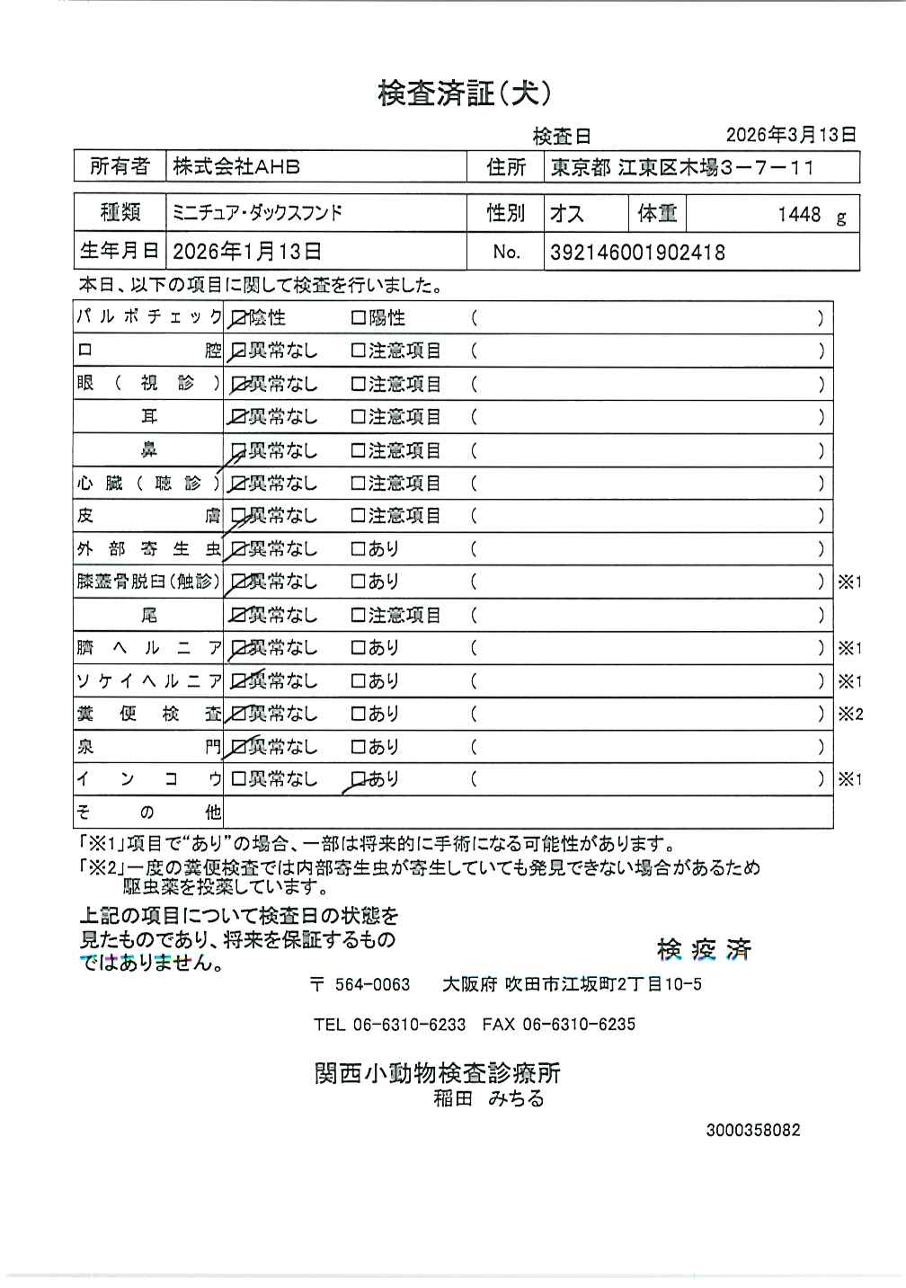 ミニチュア・ダックスフンド