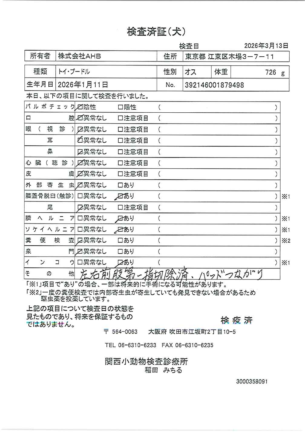 トイ・プードル
