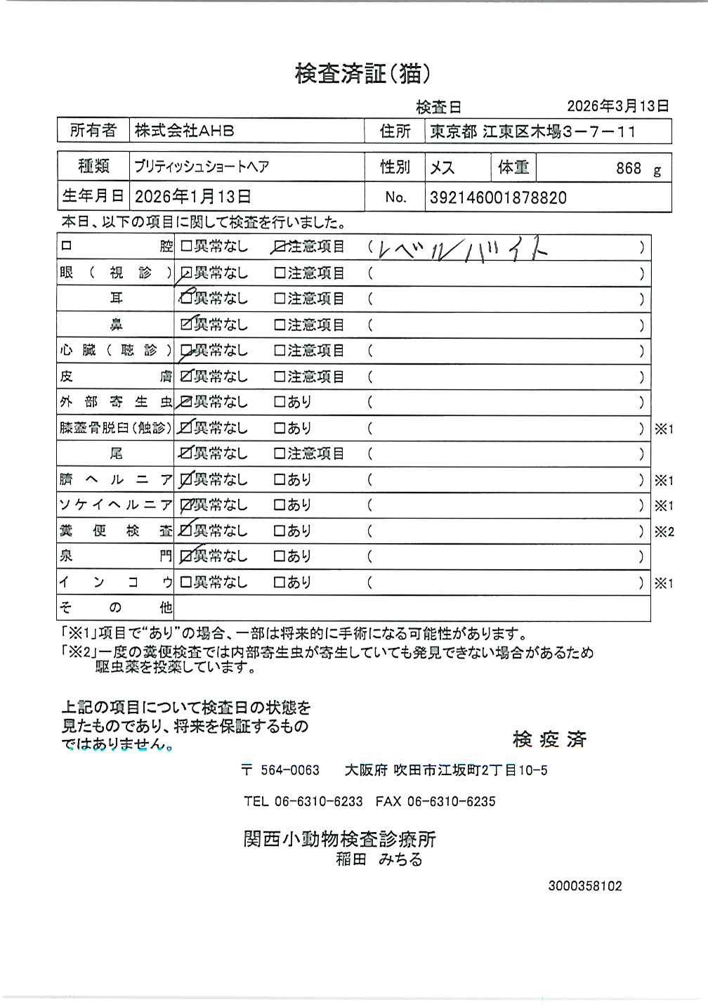 ブリティッシュショートヘア