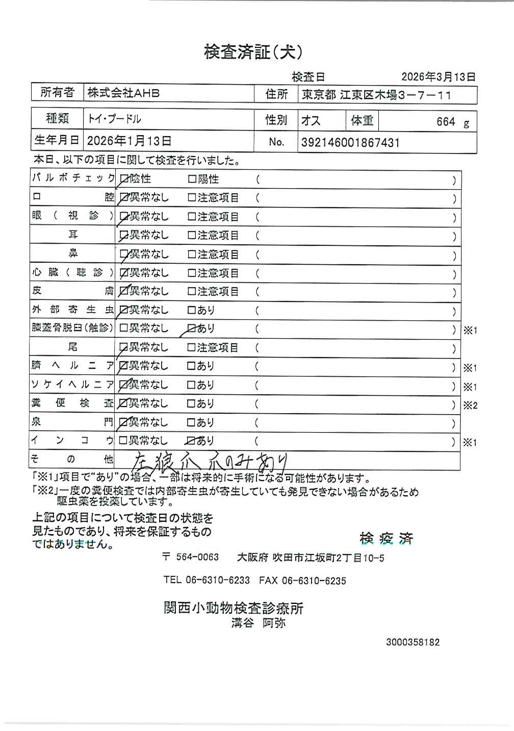 トイ・プードル