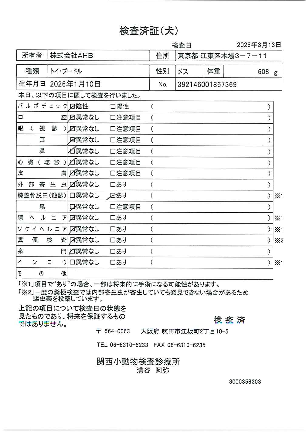 トイ・プードル