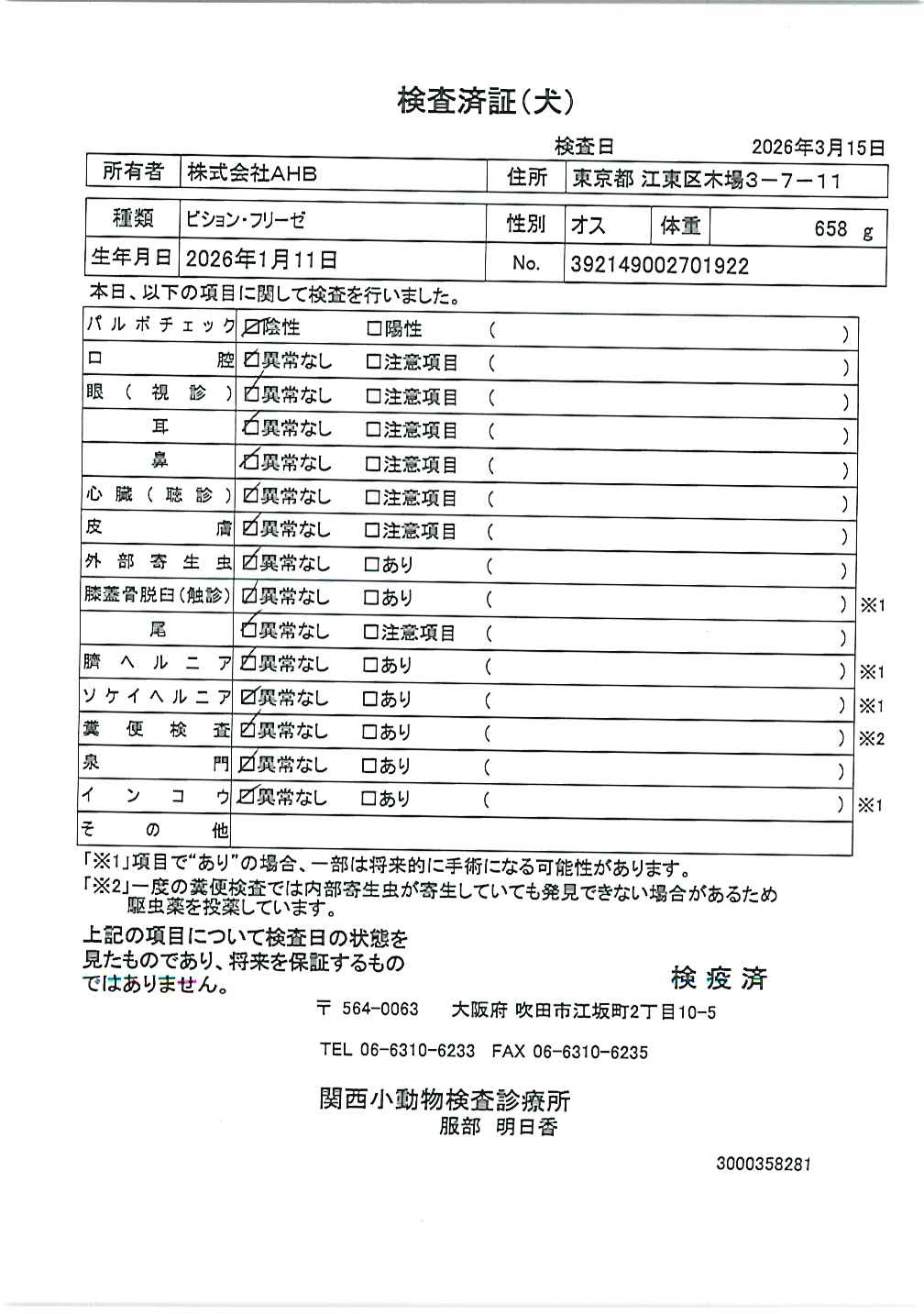 ビション・フリーゼ