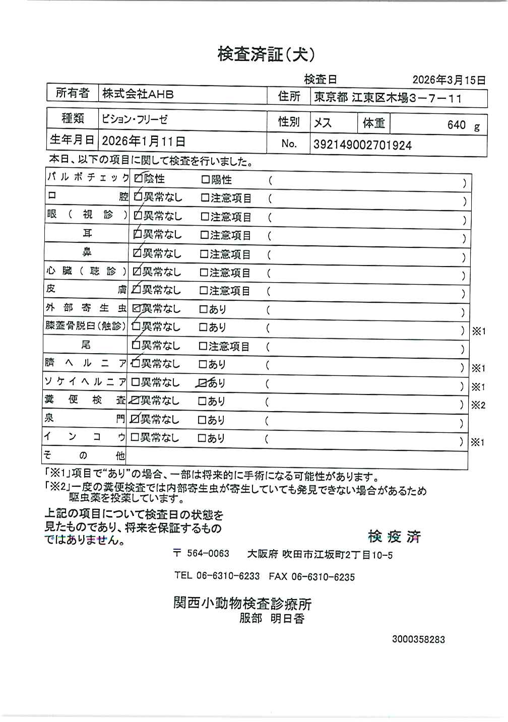 ビション・フリーゼ