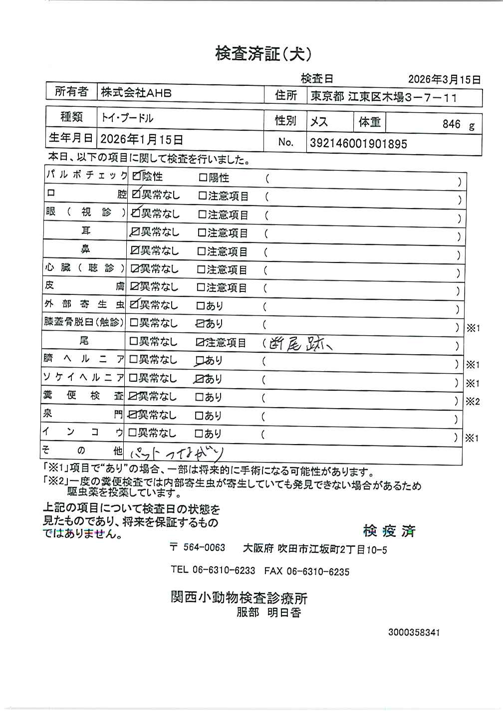 トイ・プードル
