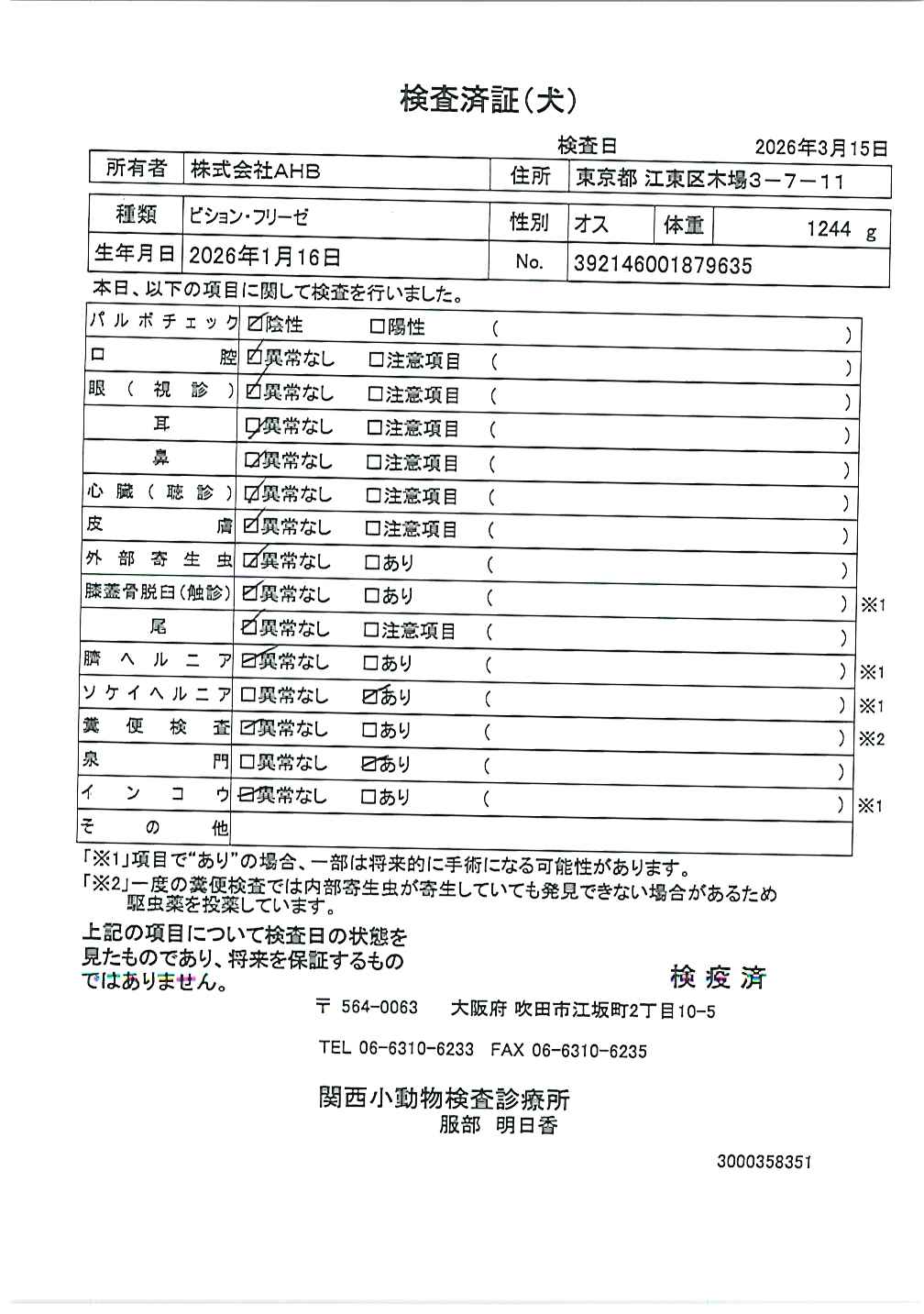 ビション・フリーゼ