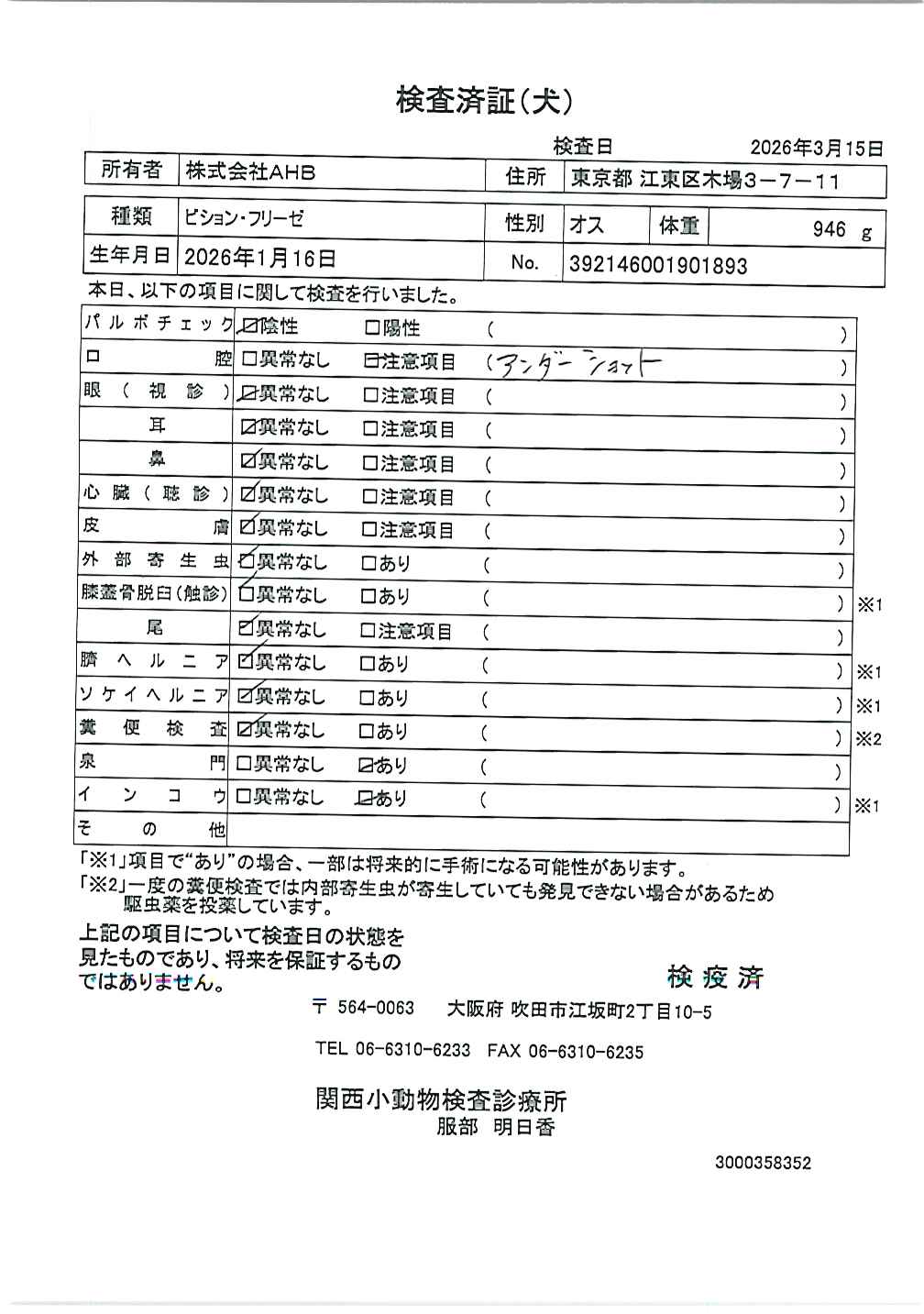 ビション・フリーゼ