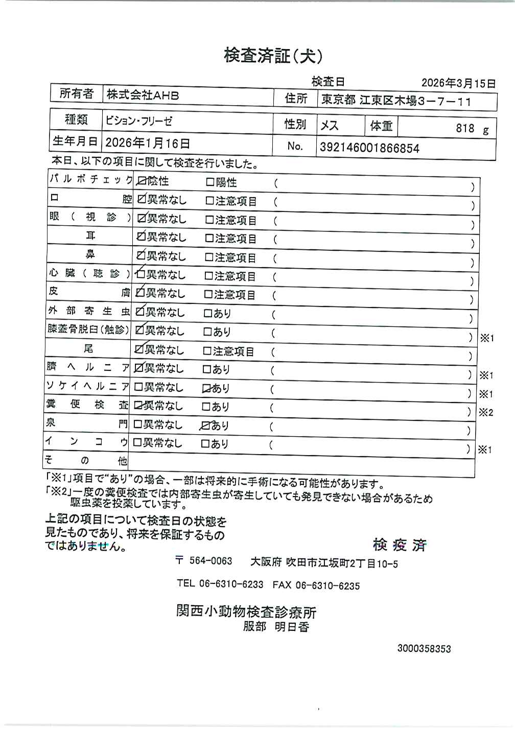 ビション・フリーゼ