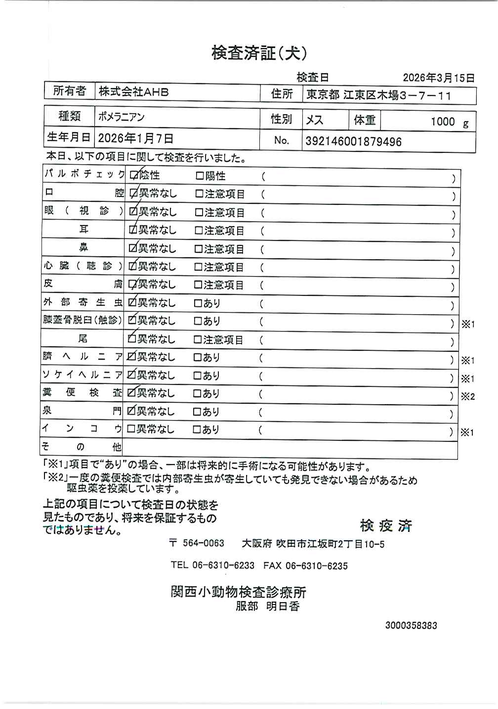 ポメラニアン