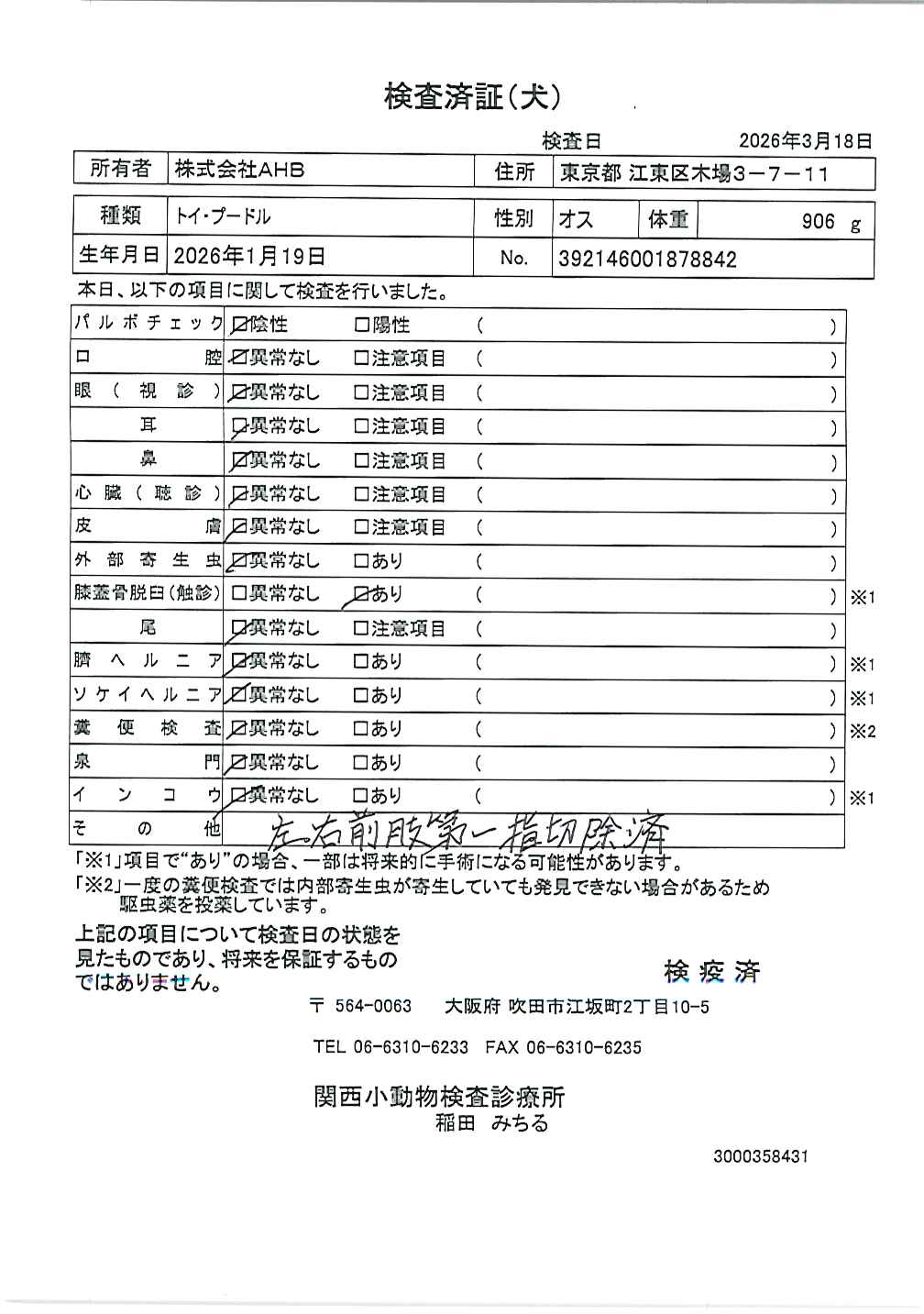 トイ・プードル
