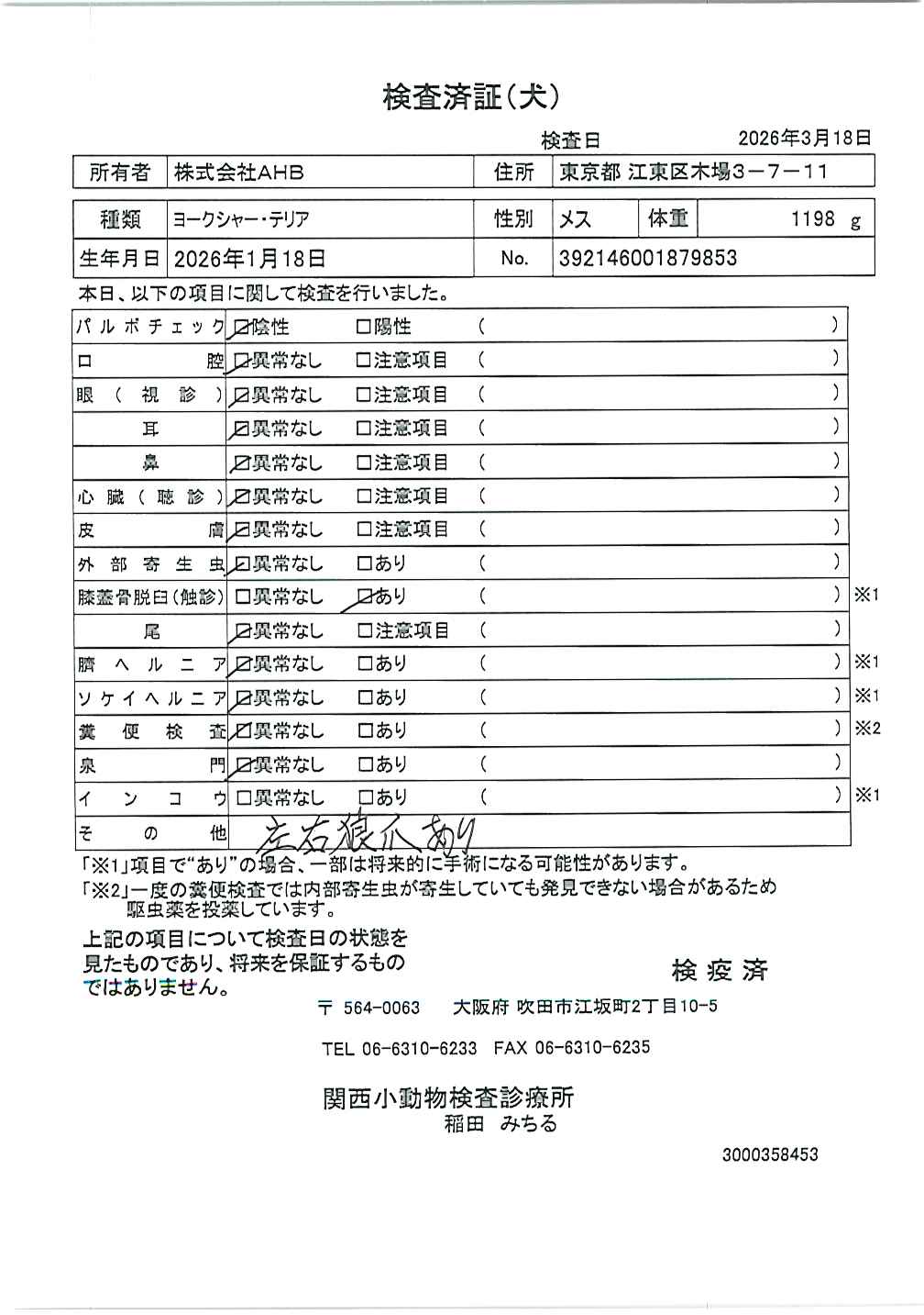 ヨークシャー・テリア