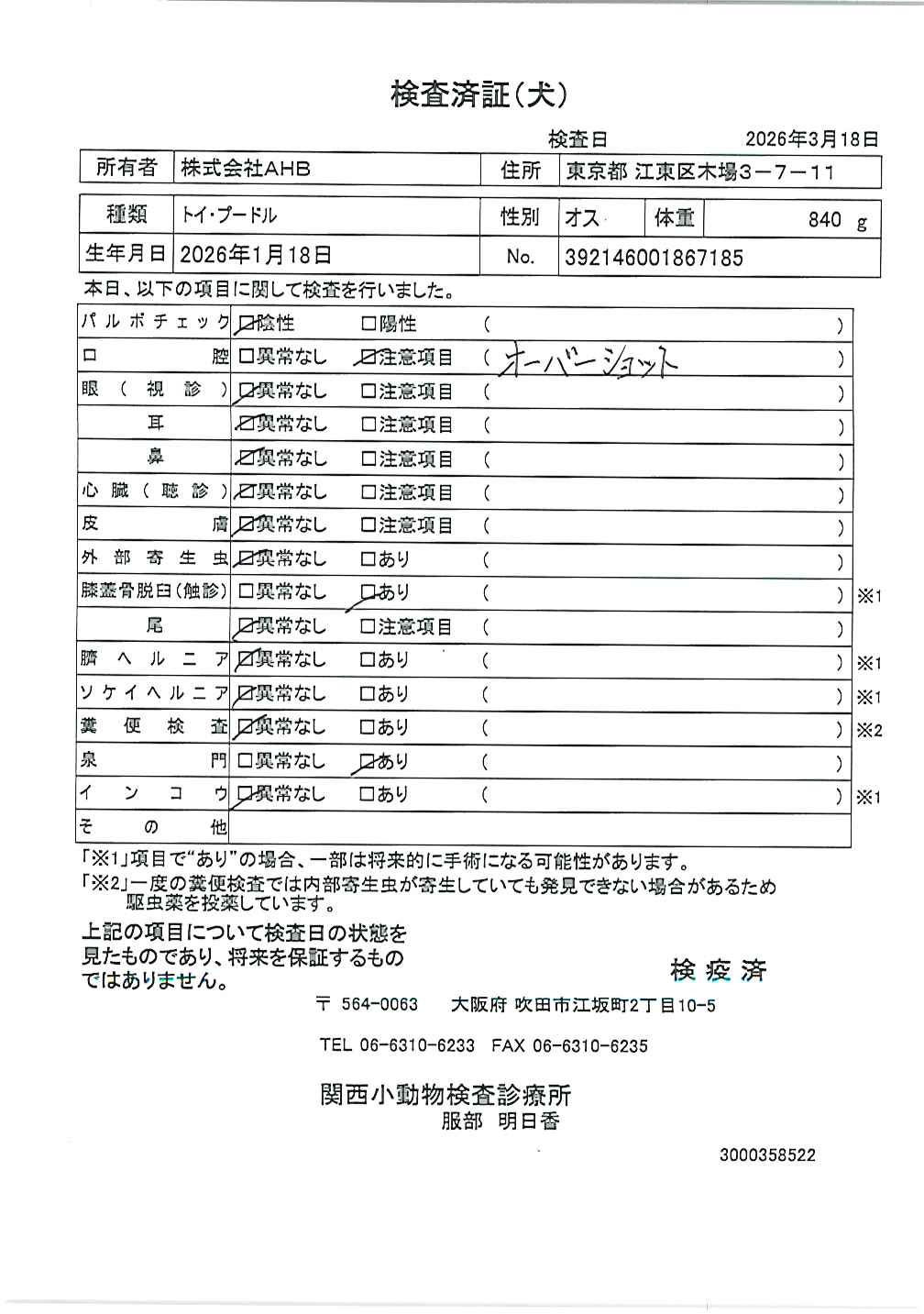 トイ・プードル