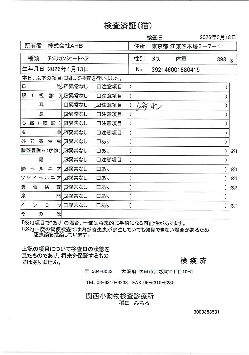 アメリカンショートヘア