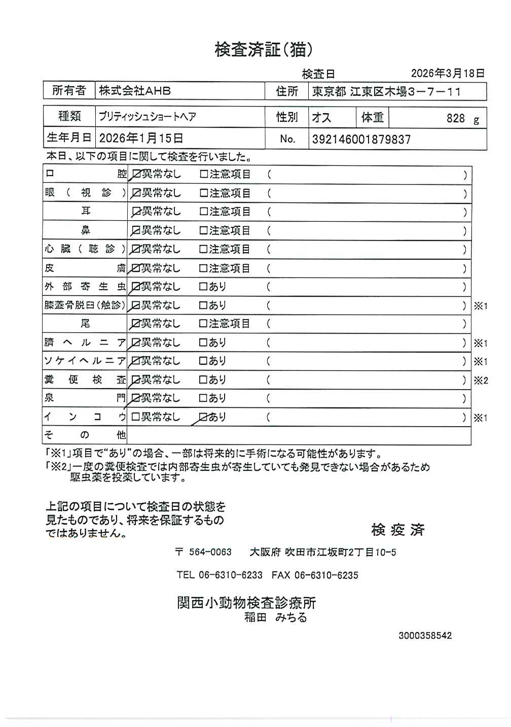 ブリティッシュショートヘア