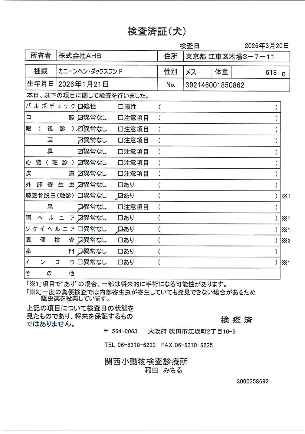カニーンヘン・ダックスフンド