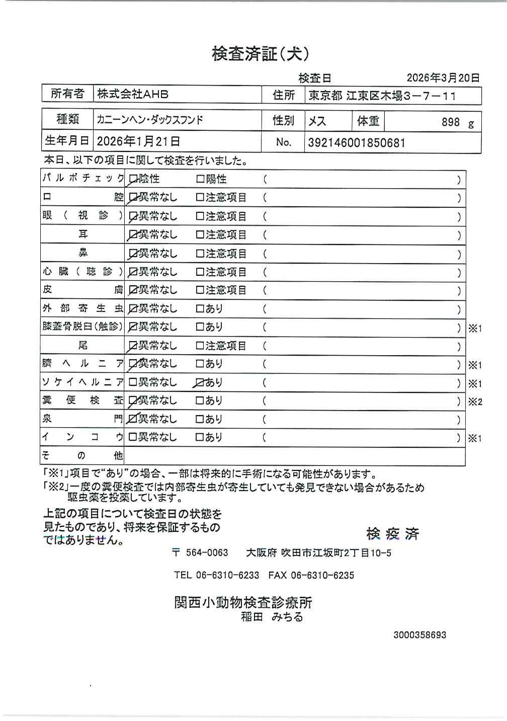 カニーンヘン・ダックスフンド