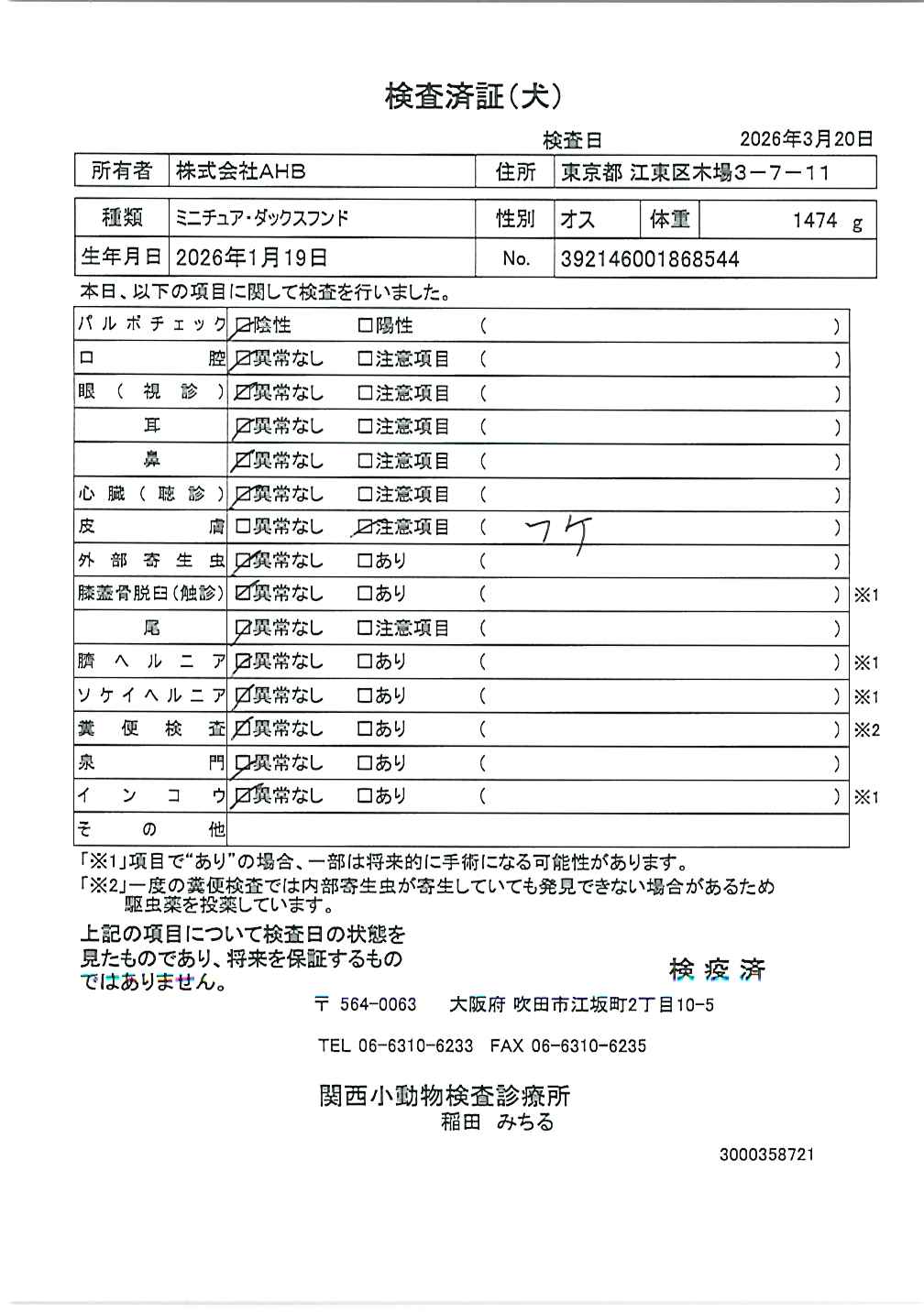 ミニチュア・ダックスフンド