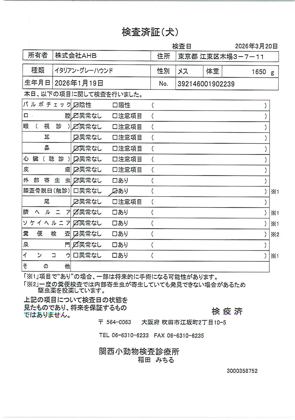 イタリアン・グレーハウンド
