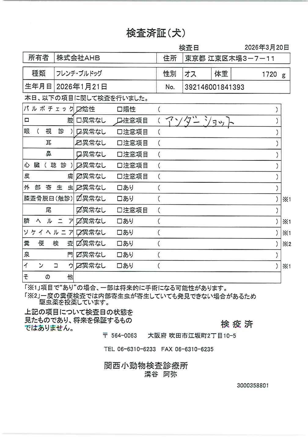 フレンチ・ブルドッグ