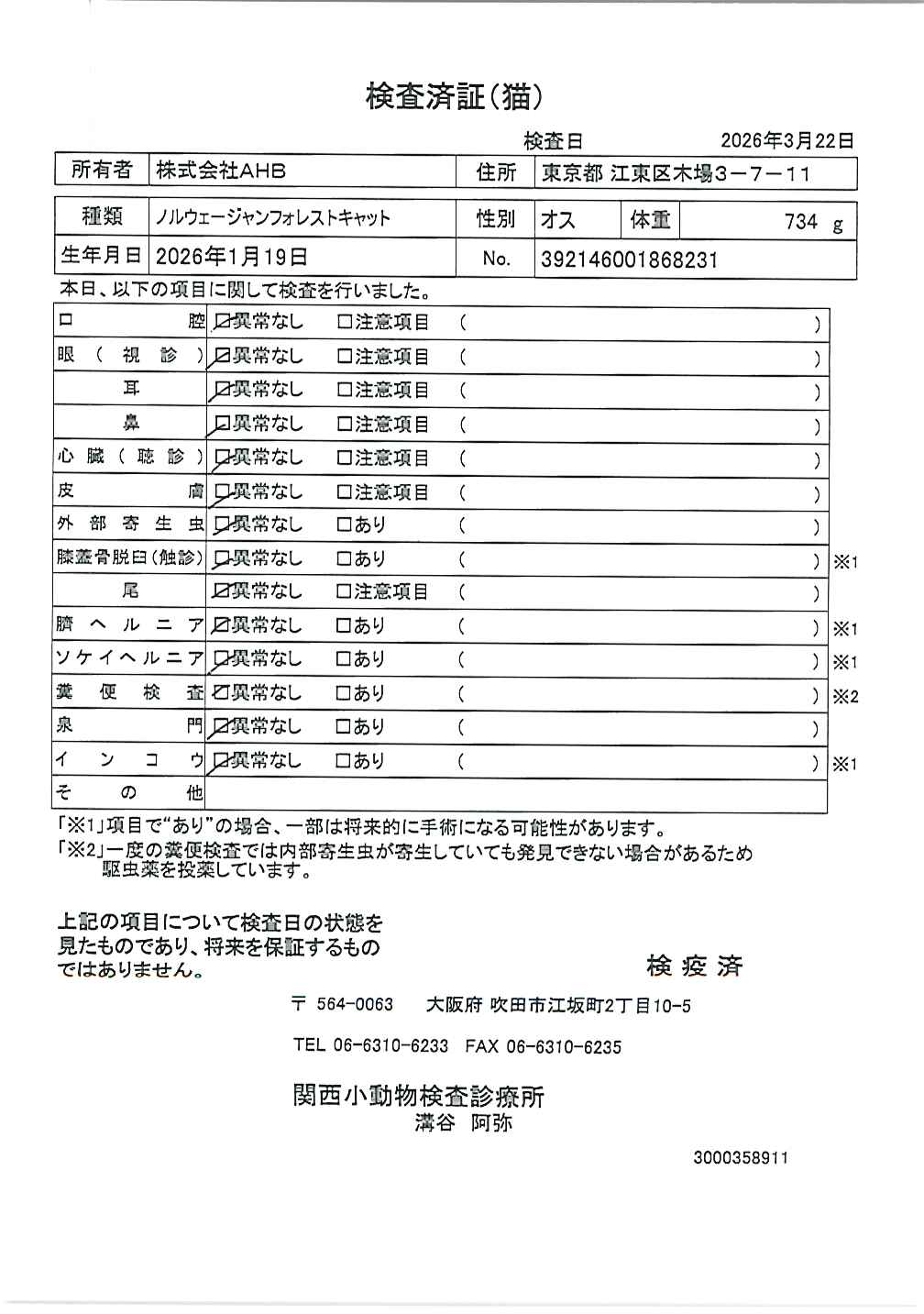 ノルウェージャンフォレストキャット
