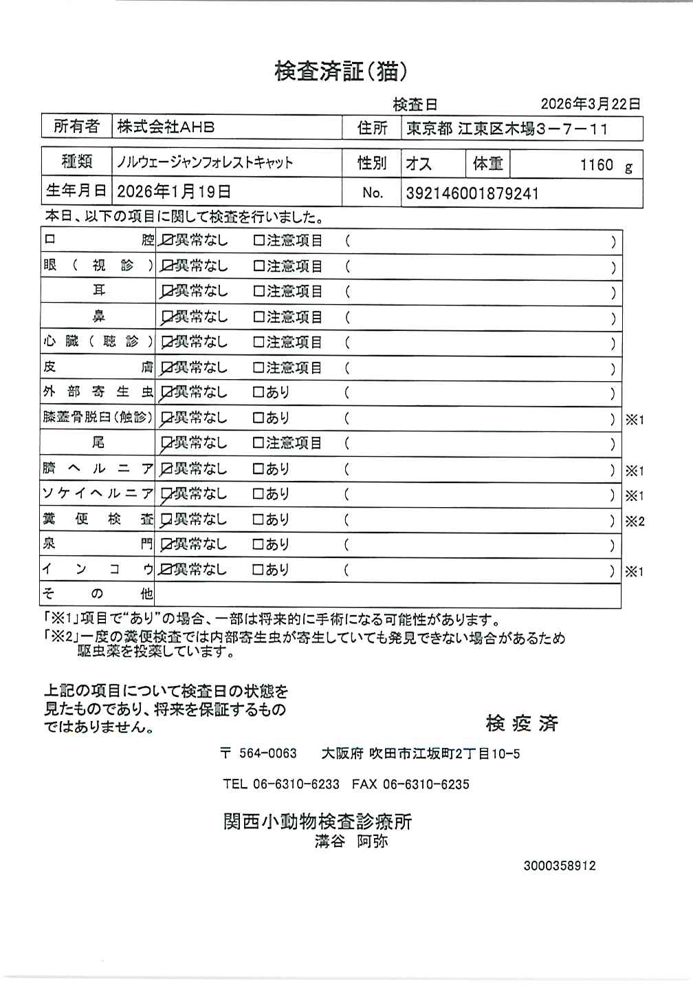 ノルウェージャンフォレストキャット