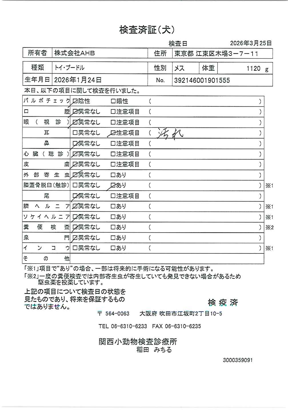 トイ・プードル