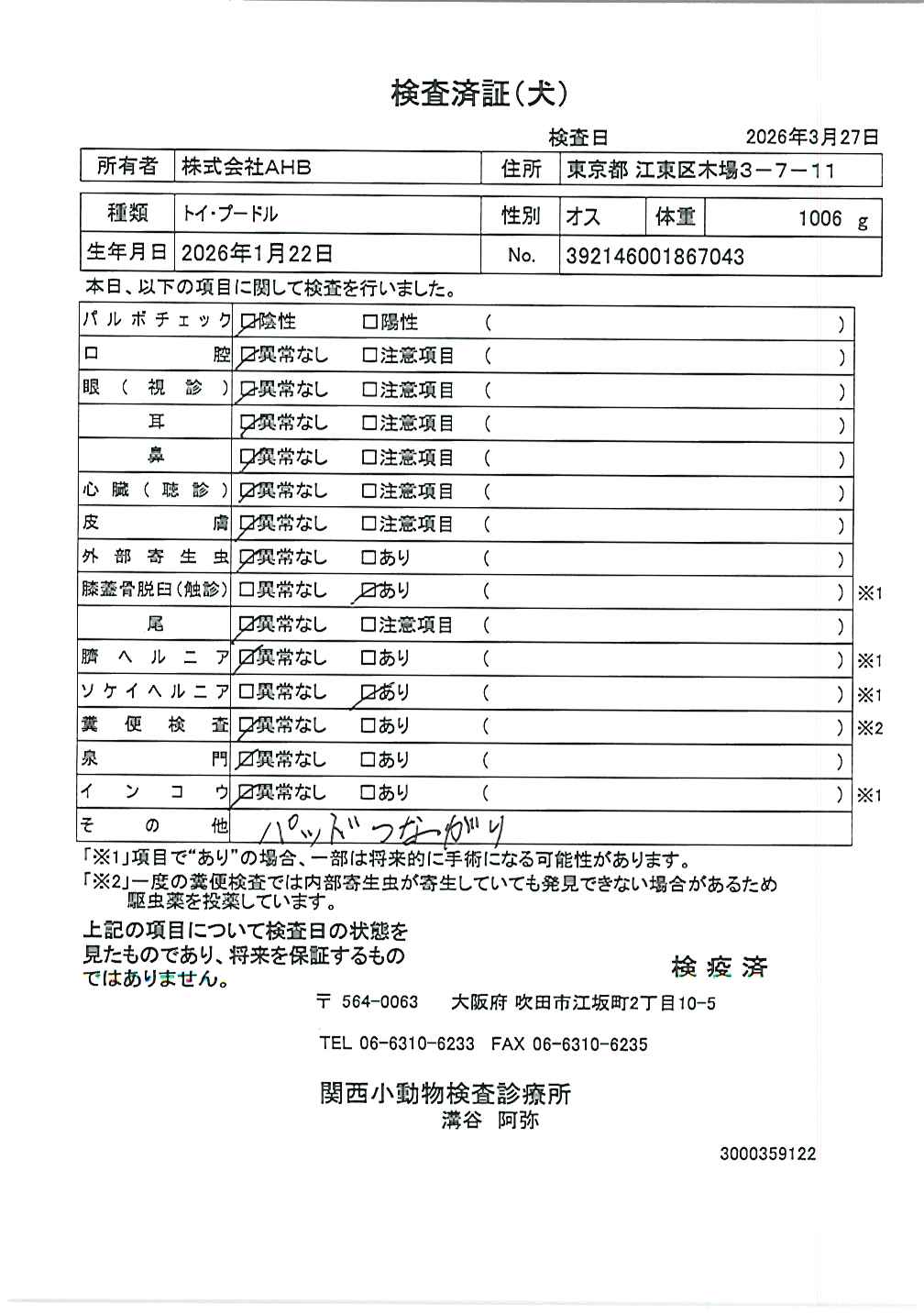 トイ・プードル