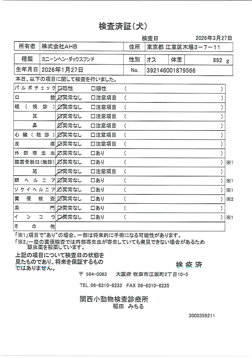 カニーンヘン・ダックスフンド