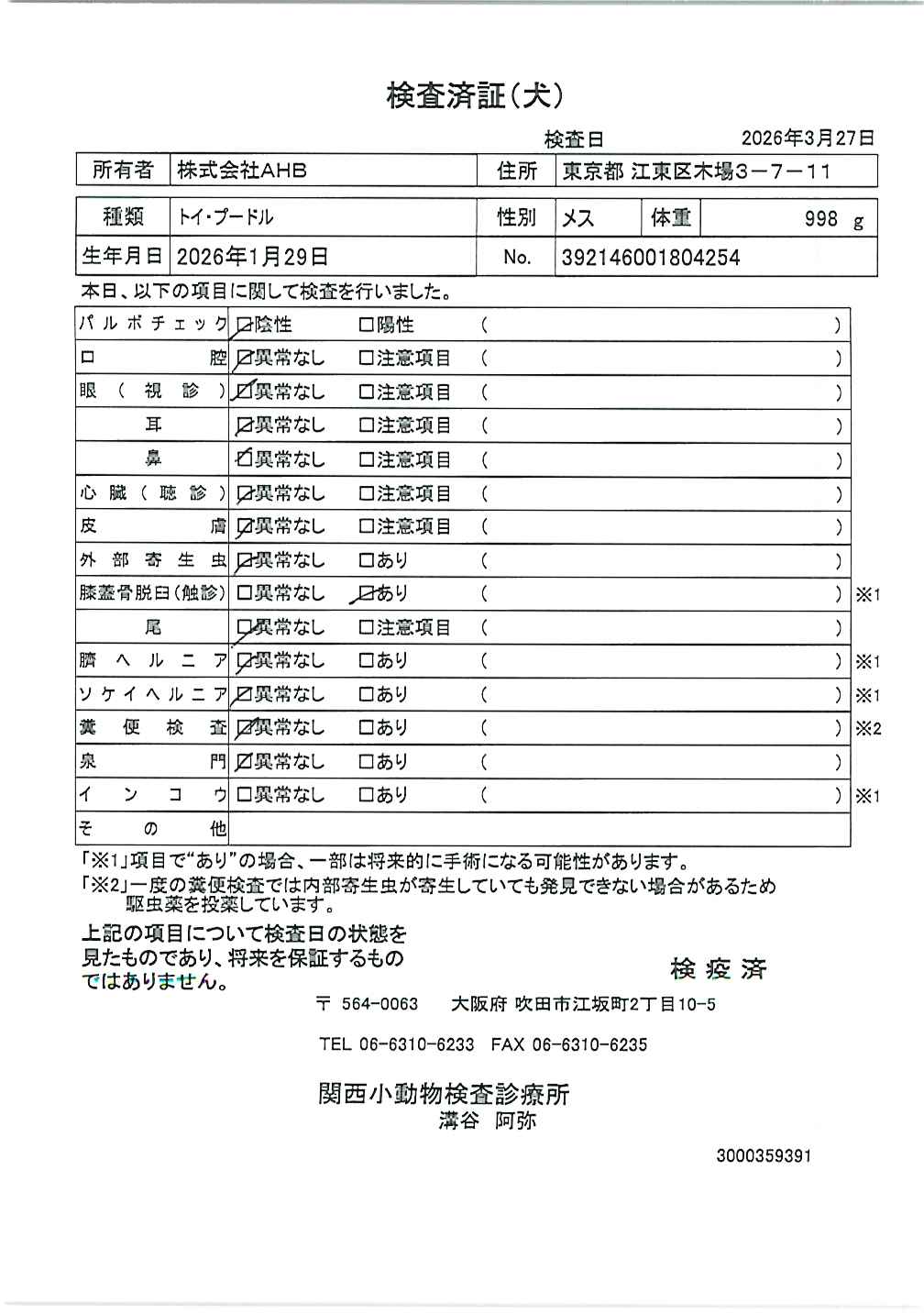 トイ・プードル