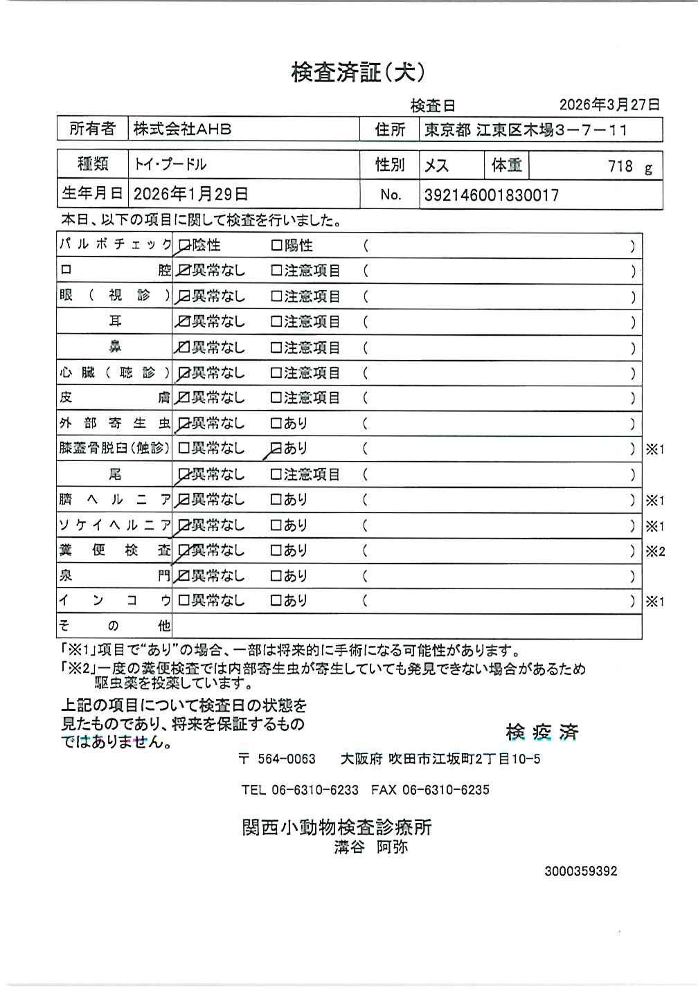 トイ・プードル