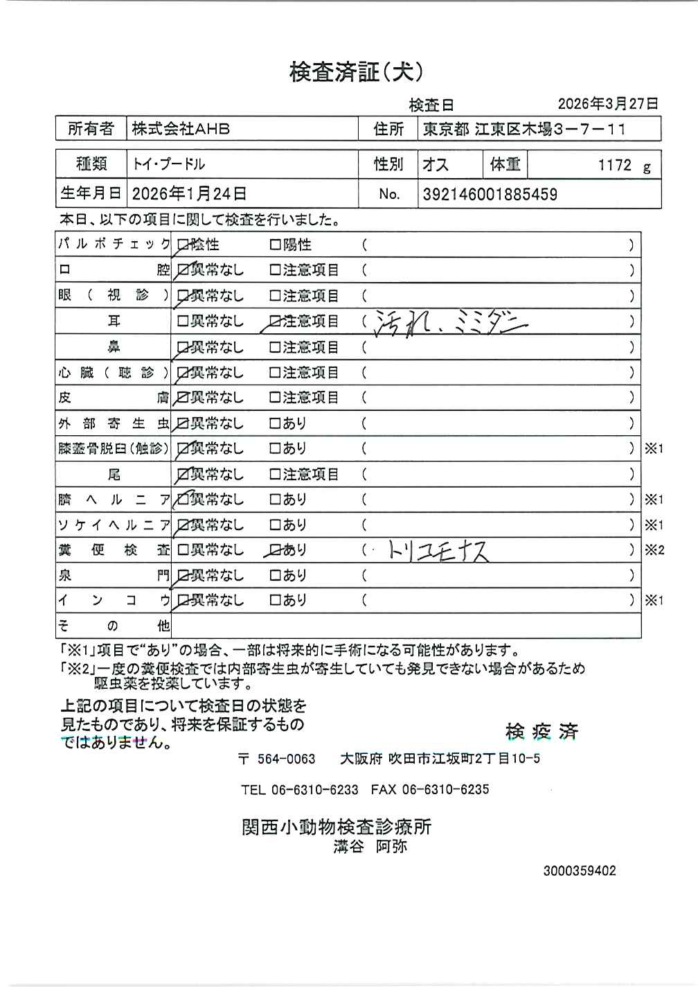 トイ・プードル