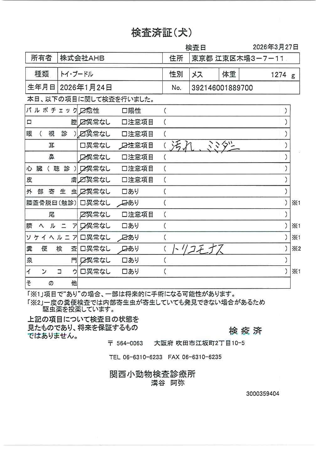 トイ・プードル