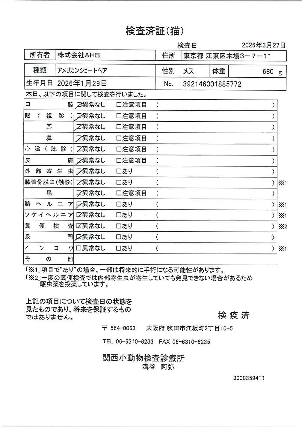 アメリカンショートヘア