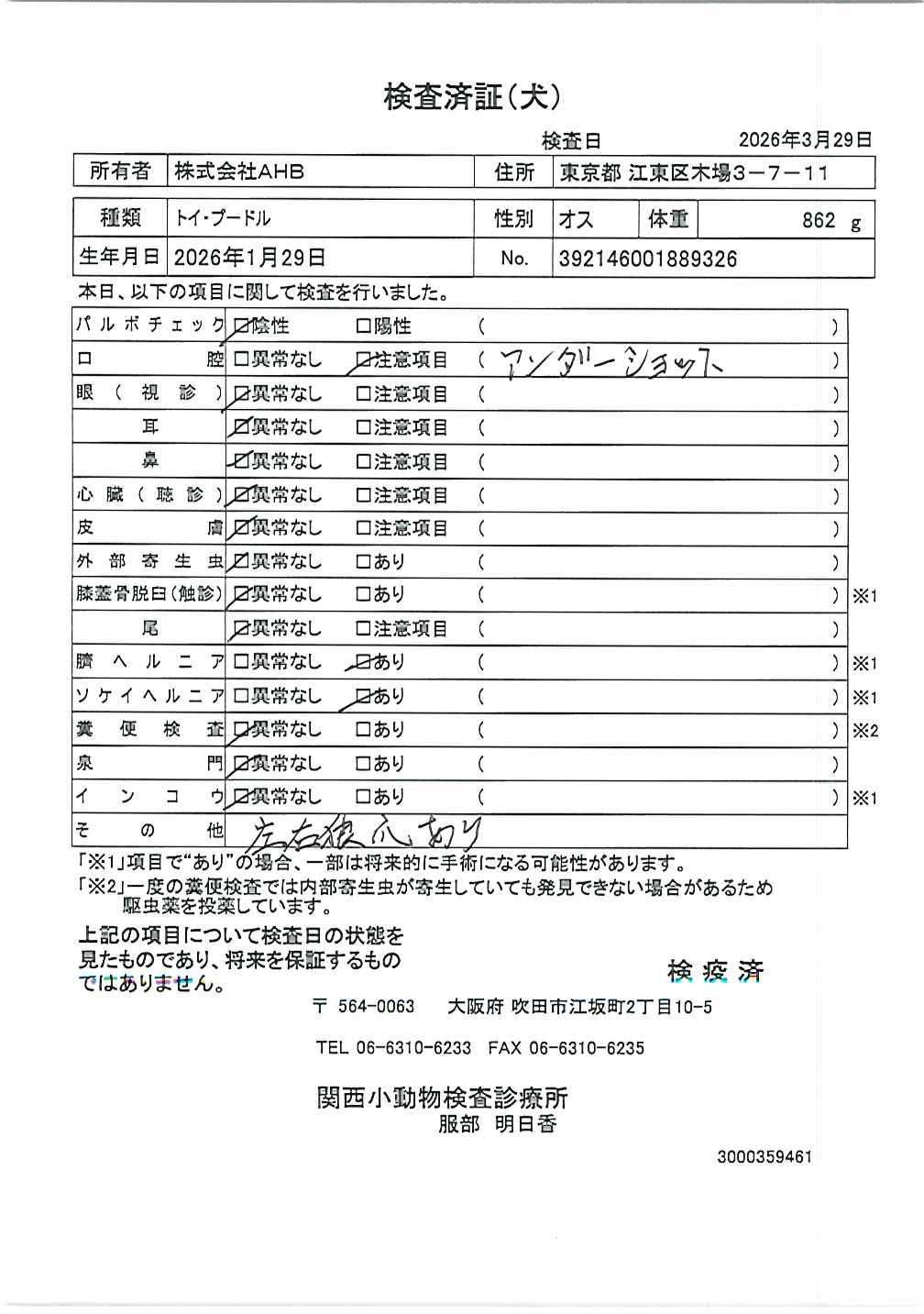 トイ・プードル